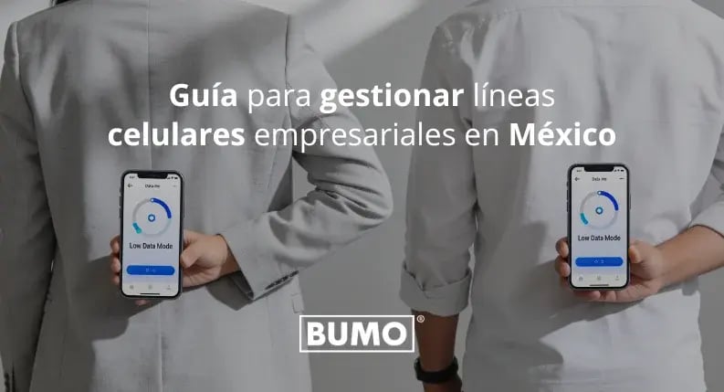Guia lineas mexico 